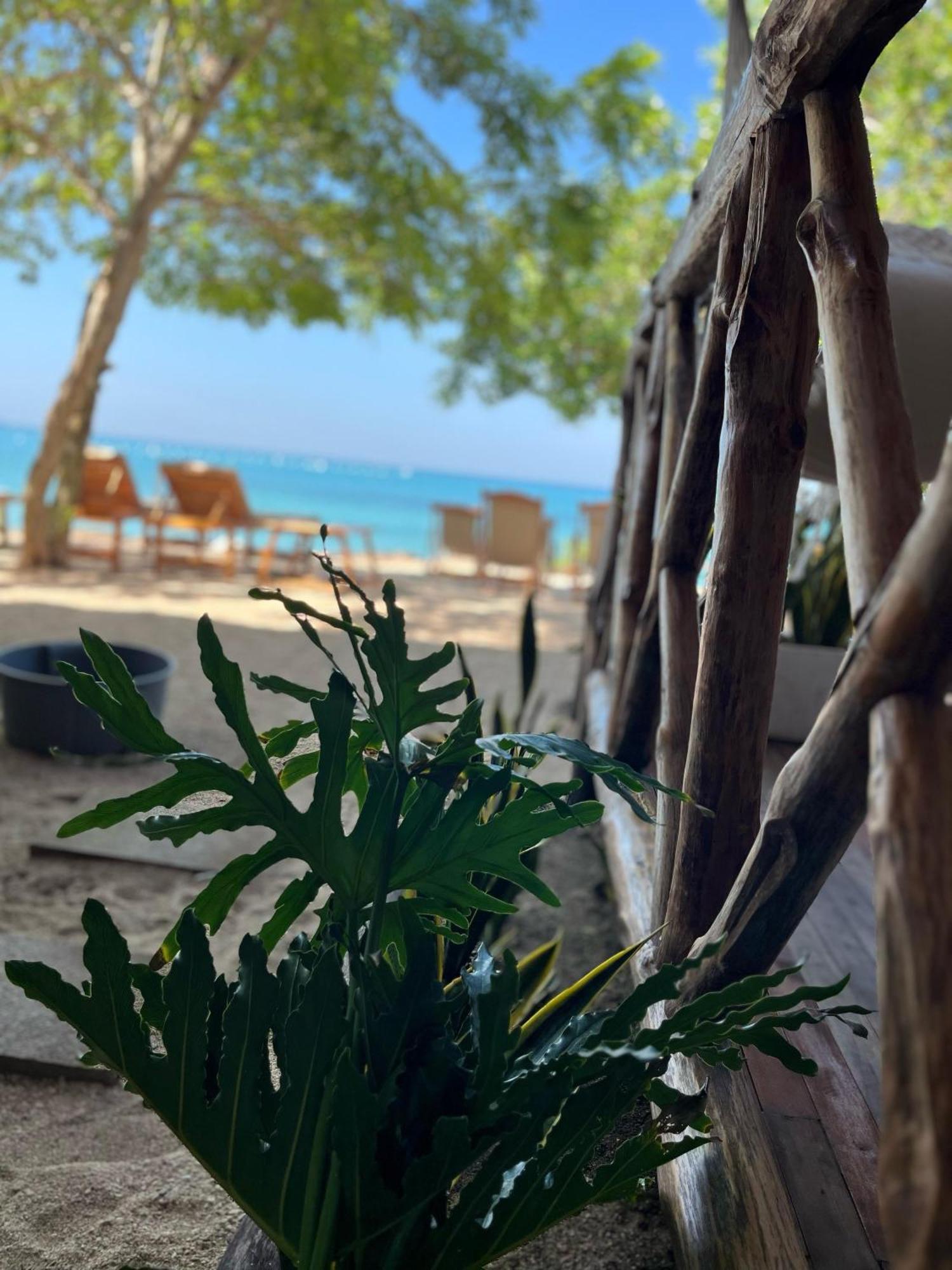 Thani Ecobeach Baru بلايا بلانكا المظهر الخارجي الصورة